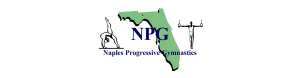 npg stbp web